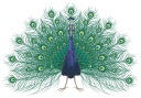 NÁLEPKA NA ZRKADLO NA OKNO PAW BIRD