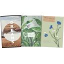 3X NOTEBOOK TOP 2000 PRE DIEVČA, A4, 60 listov, mriežka s okrajom