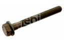 SKRUTKA FEBI BILSTEIN M8X1,5 65 73MM DAF