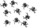 PLASTOVÉ BLACK SPIDERS-10 KS HALLOWEEN-0730
