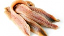 ANCHOVIES - Vynikajúce filety v oleji, ideálne pre vajcia a ryby