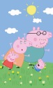 Rodinný uterák na ruky a tvár PEPPA PIG 30X50