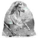 ŠKOLSKÁ TAŠKA NA OBUV HORSE PASO HORSE GREY