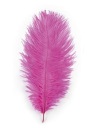 Jemné erotické pierko na pohladenie, ružové