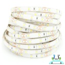 LED pás 300 2835 4,8W Studená biela 5m IP63