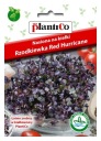 Red Hurricane Semená červenej reďkovky na klíčky 10g PlantiCo
