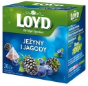 Express Ovocný čaj Čučoriedka Ostružina Sladké drievko Arónia 20 T. BIO LOYD