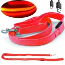 USB LED vodítko PSA 25mm, farebné, SVIETIACE, vychádzkové, zimné, jesenné, nočné, 1,2 m