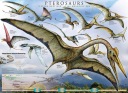 Plagát na stenu Pterosaurs Dinosaury 91,5x61 cm