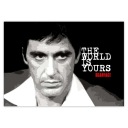 Samolepky A5 LEVEL The World Is Yours Pacino