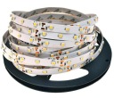 LED pás 2835 SMD 24W IP20 300 LED studená 5m