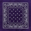 Bandama bandana bandana slivkový paisley šál