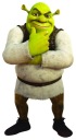 NÁLEPKA NA OKENNÉ SKLO ZRKADLO SHREK SHREK THE OGR