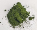 Prírodná chlorella v prášku - 50g - Dary Podlasie