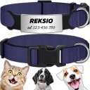 SILNÝ NASTAVITEĽNÝ OBLIEK PRE PSA INDEX MAČKA PES + GRAVÍR 40-60cm XL