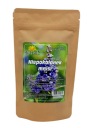 Chasteberry mnísi 100g