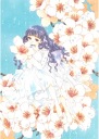 Anime Manga Cardcaptor Sakura Plagát ccs_217 A3