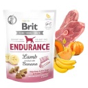 BRIT CARE FUNCTIONAL maškrta pre psov Endurance Lamb & Banana 150g