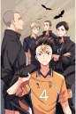 Anime Manga Haikyuu plagát hy_064 A3 (vlastné)