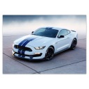 Nálepky Ford Mustang Shelby LEVEL A5
