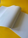 Kartónový papier Technický kartón BIELY 170g A2 43x61 10 listov