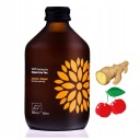 Kombucha Acerola + Ginger BIO 330ml Vigo čaj