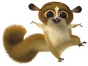 NÁLEPKA NA ZRKADLOVÉ OKNO TUČŇAKY Z MADAGASKARU