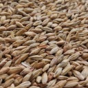 Red Ale slad 0,5kg Viking Malt - Nestrelený