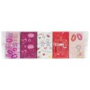 Maitre Truffout Love Chocolates 5x15g