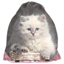 Školská TAŠKA na topánky, PE topánky, Cat Kitten, šedá a ružová | Pre dievča