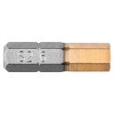 Skrutkovacie bity HEX6,0 x 25 mm GRAPHITE 57H970