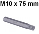 Bit 10 mm RIBE M10 x 75 mm D10R75M10A Jonnesway