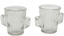 CACTI SKLENENÉ POHÁRE NA VODKU 50ML 2 KS