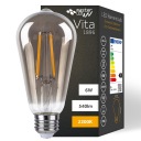 E27 LED FILAMENT EDISON RETRO DEKORATÍVNA 6W žiarovka