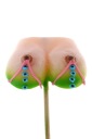 LOLlipop PRSIA PRSIA PRSIA PRSIKY POHLAVIE OSEMNÁSŤ