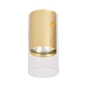 Ricky Downlight Gold 1xGU10