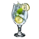 POHÁR NA GIN, PIVNÉ TONIKUM, NÁPOJE 570 ml