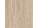 Samolepiaca čiapočka, priemer 14, 25ks, LIGHT LIBERTY ELM