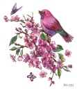 Odnímateľné tetovanie pre deti BIRDS RH031