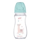 CANPOL ANTIKOLICKÁ FĽAŠA 300 ML TAC 12M+