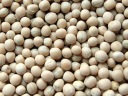 Champion Healthy Grain ŽLTÝ HRACH 1kg