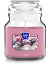 PARAFÍNOVÁ Sviečka VONNÁ SVIEČKA zo skla 28H 120G BISPOL FROSTED BERRIES