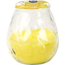 PARAFÍNOVÁ SVIEČKA CITRONELLA ZÁHRADNÁ SVIEČKA V SKLE 40H 200G 10,5CM