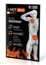 Hrejivá náplasť HOT-PLAST Forte 12 cm x 18 cm
