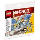 LEGO NINJAGO 30649 Ľadový drak
