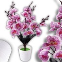UMELÁ ORCHIDEA V ČRENÁRE KVET ORCHIDEÍ UMELÝ KVET AKO ŽIVÝ VEĽKÝ
