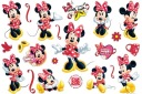 TETOVANIE PRE DETI MINNIE MOUSE NARODENINY CG357