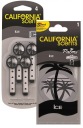 CALIFORNIA CAR Scents PÁNSKY PARFUM VÔŇA ĽADOVÁ