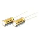 AUDIOFIL NICHICON FG Fine Gold 22uF/50V - 2 kusy (#626)