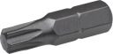 TORX T25x25 SKRUTKOVACÍ BIT 1 KS
